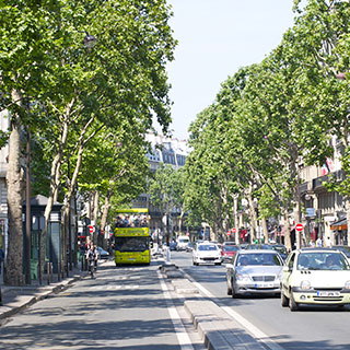 Boulevards Saint Germain des Prés